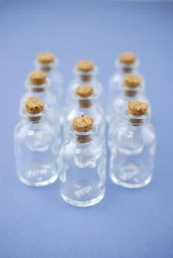 Mini Glass Bottles With Cork 20ml 2.3in (Pack Of 10)