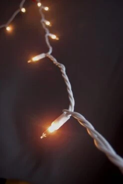 100 Indoor Mini String Lights 40 Feet White Cord