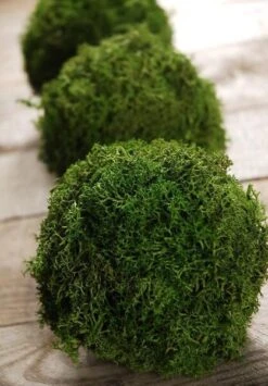 Preserved Reindeer Moss Balls 4" (Set Of 3)