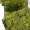 Faux Moss Runner Flocked 12" X 72"