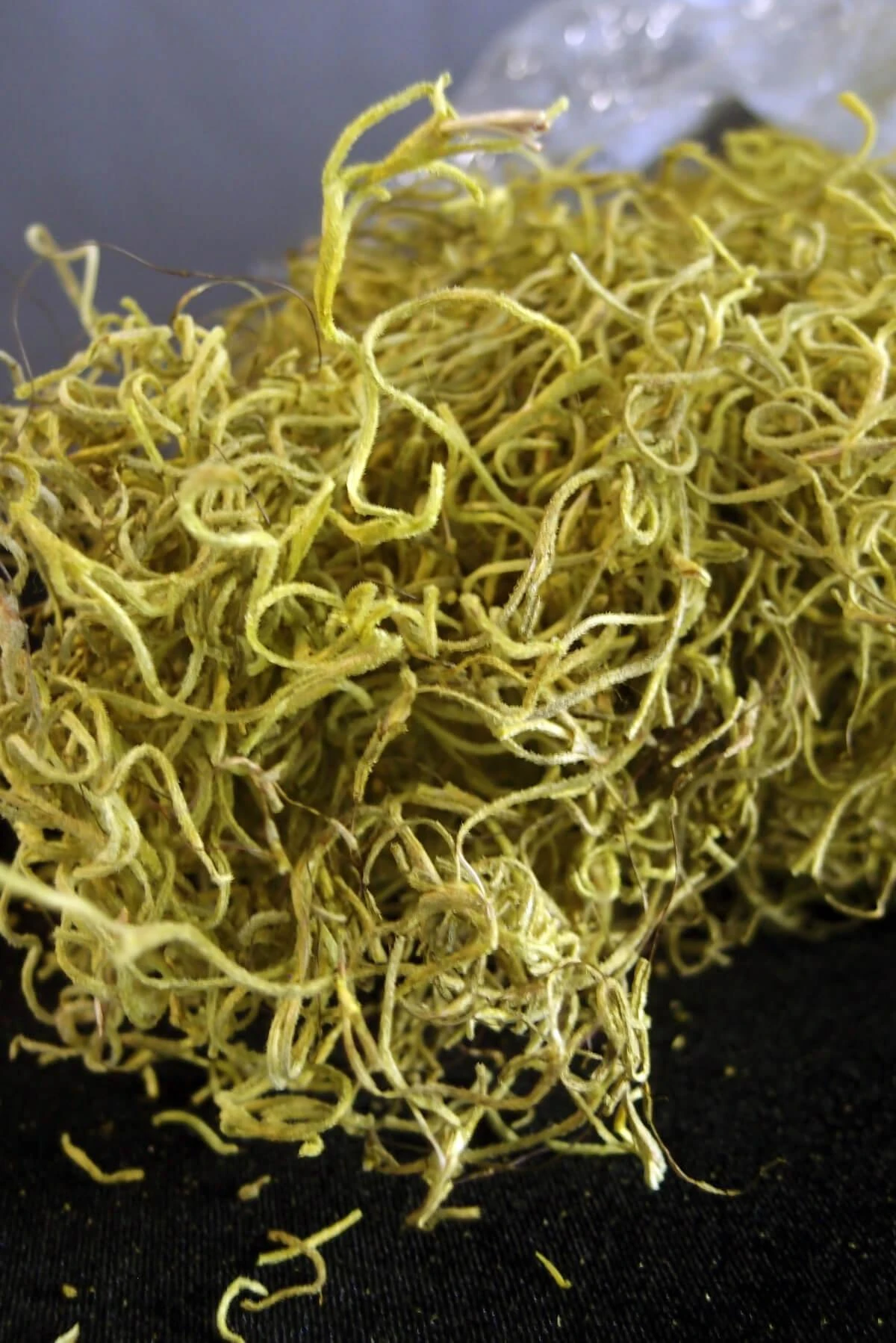 Chartreuse Spanish Moss 1 Lb / 700 Cubic In. 1 Chartreuse Spanish Moss 1 Lb / 700 Cubic In.