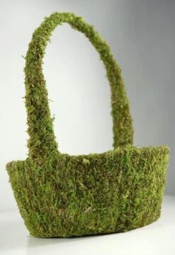 Preserved Natural Moss Basket 12"