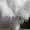 12 White Ostrich Feathers 9-13in