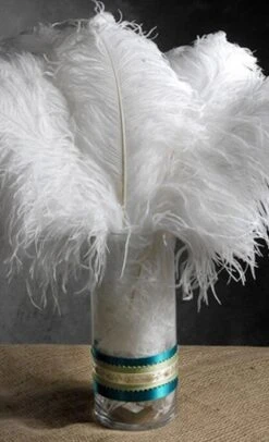 12 White Ostrich Feathers 9-13in