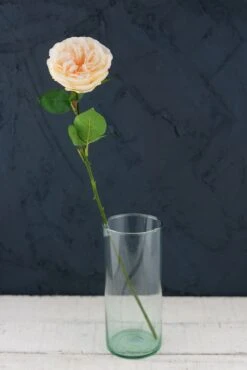 12 Long Stem Peach Roses