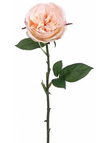12 Long Stem Peach Roses 2 12 Long Stem Peach Roses - Image 2
