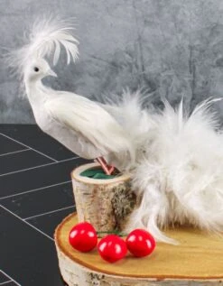 White Feathered Peacock 16in 7 White Feathered Peacock 16in -Candle Glow Deals Store peack