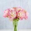 12 Pink & Mauve Peony Flowers