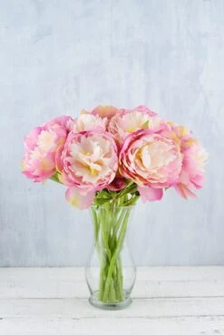 12 Pink & Mauve Peony Flowers