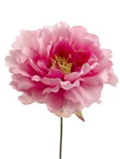 Pink Silk Peony (6" Wide) Flower Heads (Bouquet Of 24)