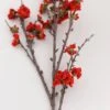 Plum Blossom Spray Red 41in