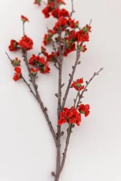 Plum Blossom Spray Red 41in