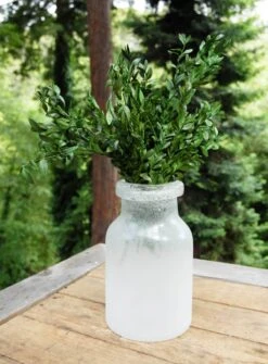 Preserved Boxwood Bundle In Natural Green 5oz.