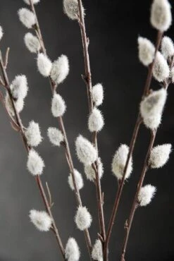 12 Artificial Pussy Willow Branches 31 In. 5 12 Artificial Pussy Willow Branches 31 In. -Candle Glow Deals Store pussy willow branches 31 in artificial pack of 12 3
