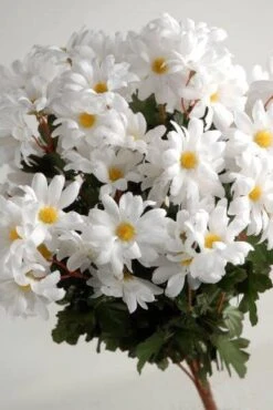 Silk White Daisies Bouquet (72 Flowers)