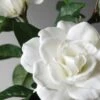 Silk Gardenia Stem White 31"