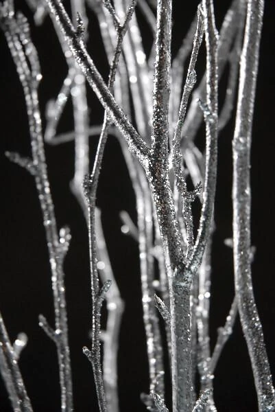Glittered Silver Birch Tree Branch Bundle 3-4 Ft (4 Branches) 3 Glittered Silver Birch Tree Branch Bundle 3-4 Ft (4 Branches) - Image 3