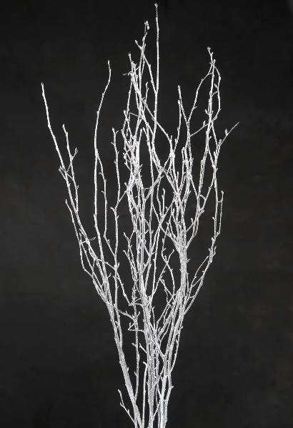 Glittered Silver Birch Tree Branch Bundle 3-4 Ft (4 Branches) 2 Glittered Silver Birch Tree Branch Bundle 3-4 Ft (4 Branches) - Image 2