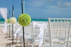 Adjustable Black Iron Shepherds Hook 34"-55" Set Of 6 -Candle Glow Deals Store stanchions black cast iron adjustable 3 B 1af87c37 f945 475b 883a 2f4e28f5752b