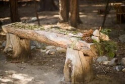 Natural Birch Rounds 3-5in (Set Of 8) -Candle Glow Deals Store table 7 events okeefe photography 590x393 525015d3 ce19 4312 aa0b 87594996d86d