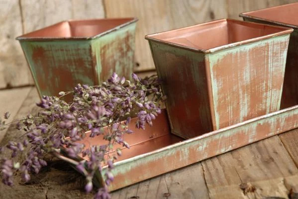 Verdigris Copper Herb Planters & Tray 12in 2 Verdigris Copper Herb Planters & Tray 12in - Image 2