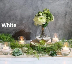 Eastland Grande Hurricane Holders & Richland Floating Candles 2" Set Of 24 -Candle Glow Deals Store whitefloat