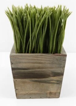 Wood Planter Box Grass Display 7in